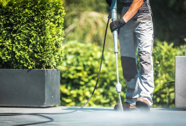 Best Animal Enclosure Cleaning  in Bonduel, WI