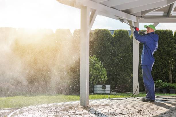 Best Solar Panel Cleaning  in Bonduel, WI